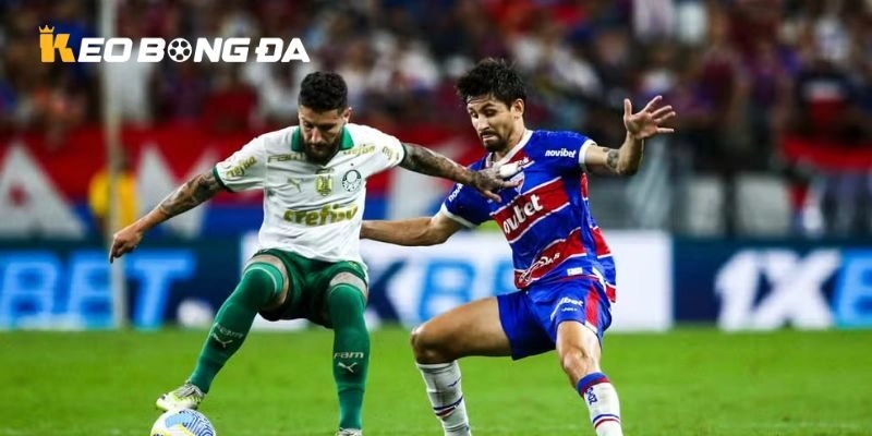 Nhìn nhận sức mạnh của Palmeiras vs Fortaleza
